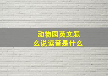 动物园英文怎么说读音是什么