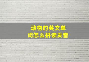 动物的英文单词怎么拼读发音