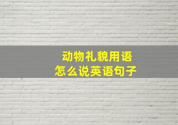 动物礼貌用语怎么说英语句子