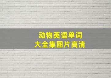 动物英语单词大全集图片高清