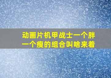 动画片机甲战士一个胖一个瘦的组合叫啥来着