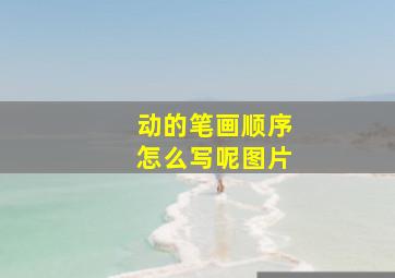 动的笔画顺序怎么写呢图片