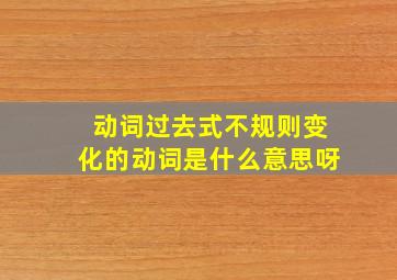 动词过去式不规则变化的动词是什么意思呀