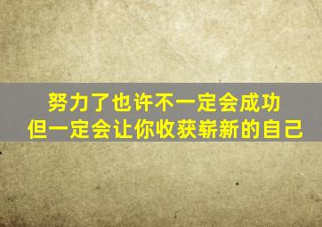 努力了也许不一定会成功 但一定会让你收获崭新的自己