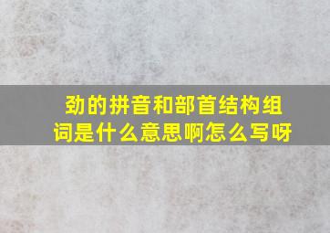 劲的拼音和部首结构组词是什么意思啊怎么写呀