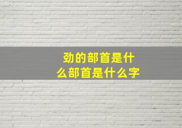 劲的部首是什么部首是什么字