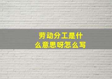 劳动分工是什么意思呀怎么写