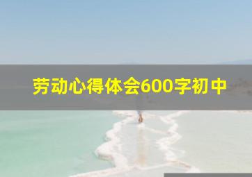 劳动心得体会600字初中