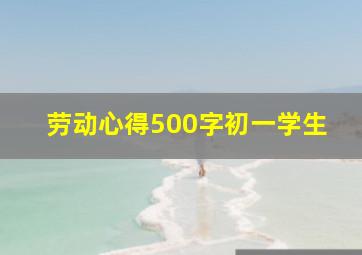 劳动心得500字初一学生