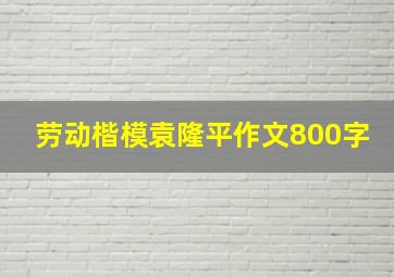 劳动楷模袁隆平作文800字