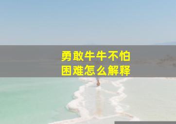 勇敢牛牛不怕困难怎么解释