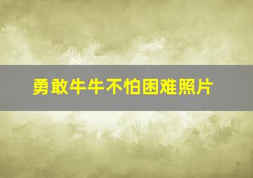 勇敢牛牛不怕困难照片