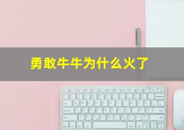 勇敢牛牛为什么火了