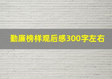 勤廉榜样观后感300字左右