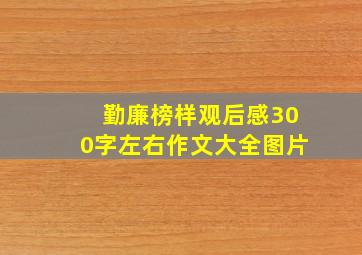 勤廉榜样观后感300字左右作文大全图片