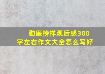 勤廉榜样观后感300字左右作文大全怎么写好