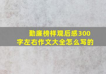 勤廉榜样观后感300字左右作文大全怎么写的