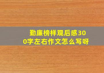 勤廉榜样观后感300字左右作文怎么写呀