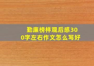 勤廉榜样观后感300字左右作文怎么写好