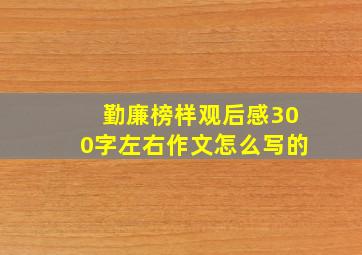 勤廉榜样观后感300字左右作文怎么写的