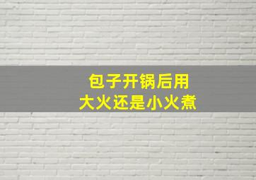 包子开锅后用大火还是小火煮