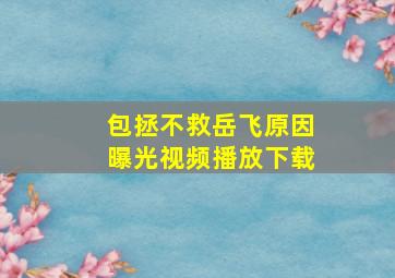 包拯不救岳飞原因曝光视频播放下载