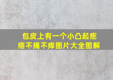 包皮上有一个小凸起疙瘩不痛不痒图片大全图解