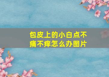 包皮上的小白点不痛不痒怎么办图片