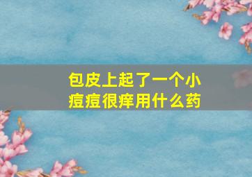 包皮上起了一个小痘痘很痒用什么药