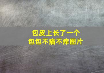 包皮上长了一个包包不痛不痒图片