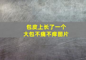 包皮上长了一个大包不痛不痒图片