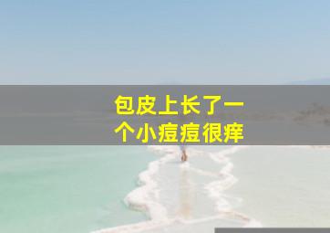 包皮上长了一个小痘痘很痒