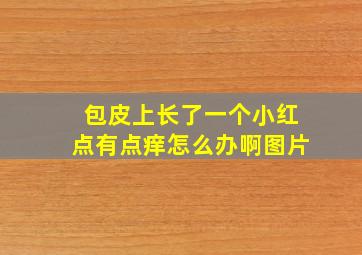 包皮上长了一个小红点有点痒怎么办啊图片