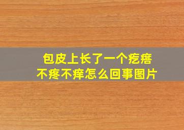 包皮上长了一个疙瘩不疼不痒怎么回事图片