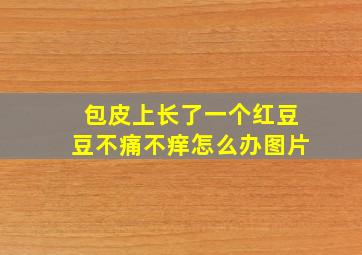 包皮上长了一个红豆豆不痛不痒怎么办图片