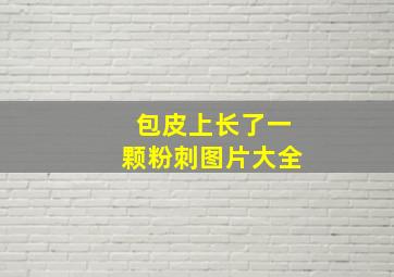 包皮上长了一颗粉刺图片大全