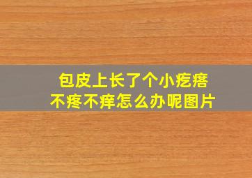 包皮上长了个小疙瘩不疼不痒怎么办呢图片