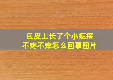 包皮上长了个小疙瘩不疼不痒怎么回事图片