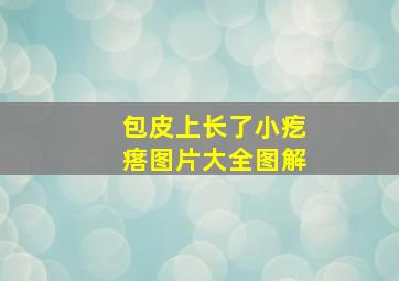 包皮上长了小疙瘩图片大全图解