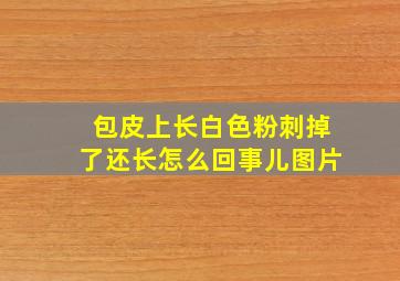 包皮上长白色粉刺掉了还长怎么回事儿图片