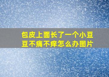 包皮上面长了一个小豆豆不痛不痒怎么办图片