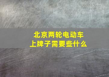 北京两轮电动车上牌子需要些什么