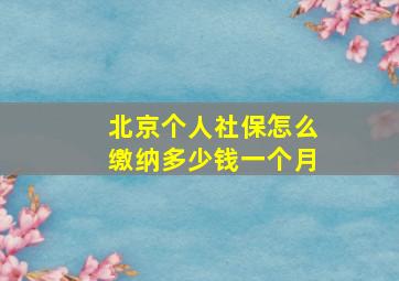 北京个人社保怎么缴纳多少钱一个月