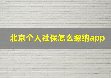 北京个人社保怎么缴纳app