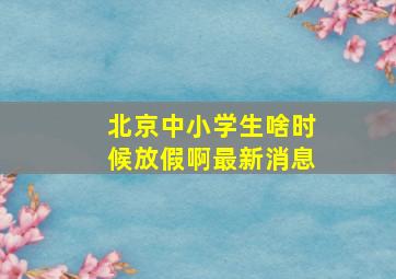 北京中小学生啥时候放假啊最新消息