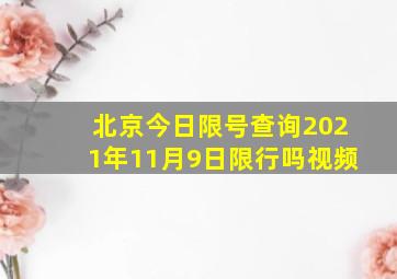 北京今日限号查询2021年11月9日限行吗视频