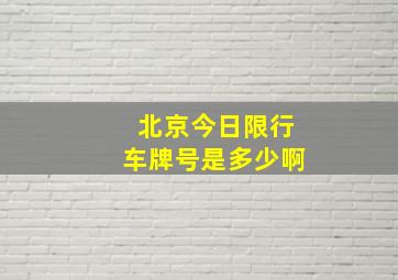 北京今日限行车牌号是多少啊