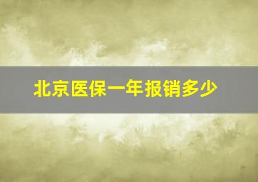 北京医保一年报销多少