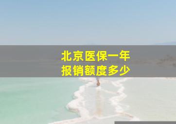 北京医保一年报销额度多少