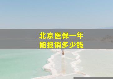 北京医保一年能报销多少钱